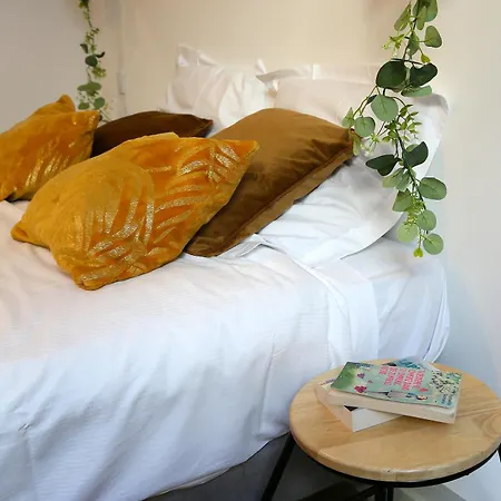 Apartment Expat Renting - Le Cyrano - Hyper Centre - Wifi Toulouse