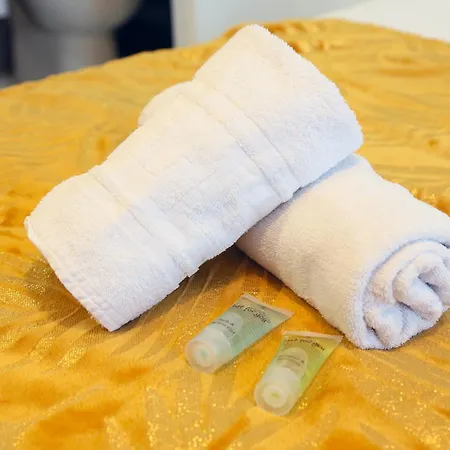 Expat Renting - Le Cyrano - Hyper Centre - Wifi 圖盧茲