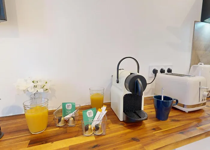 Expat Renting - Le Cyrano - Hyper Centre - Wifi