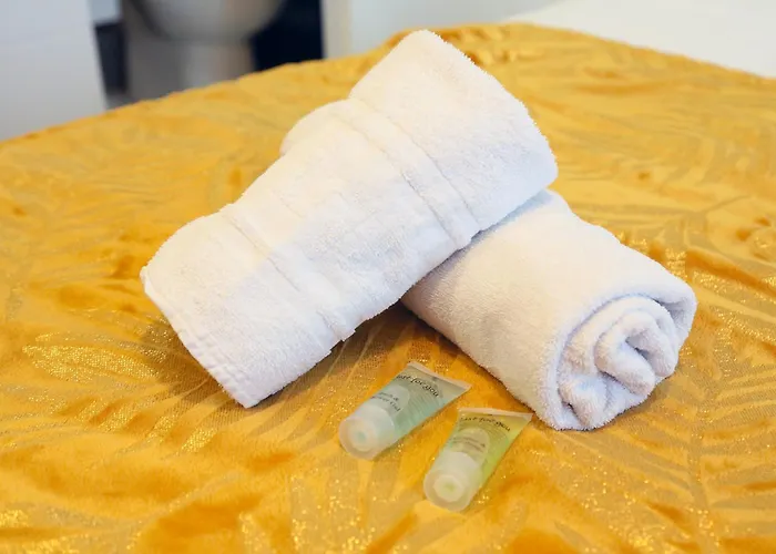 Expat Renting - Le Cyrano - Hyper Centre - Wifi Toulouse